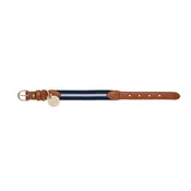 Duo Color Signature Stripe Collar