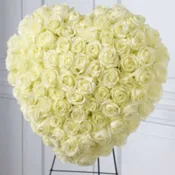 Elegant Remembrance
