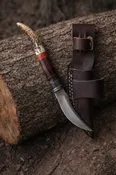 Titan Ridgeback Utility Knife – Stag Handle Edition