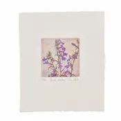 ‘Brook Lobelia’ Etching