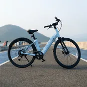 Carbon 1 Step-Thru E-Bike