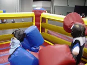 Big Glove Boxing