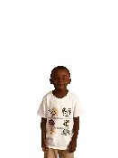 Animals Shirt