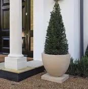 Large Modern Bowl Garden Planter