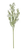 024001WHI | 25" | GYPSO STEM X3 | WHITE