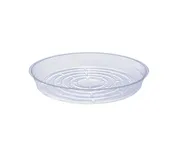 10 inch Saucer