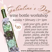 Galentine’s Day Wine Bottle Planter