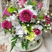Royals Tea Time
