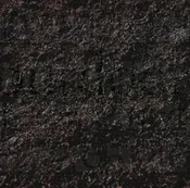 Compost Soil
