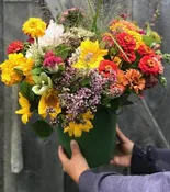 Flower Bucket subscription- 4 weeks — Vera Flora