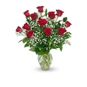 DOZEN RED ROSES ARRANGED ALL AROUND  NEW-R41