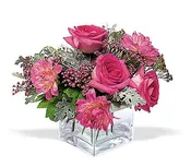 Perfect Pink Harmony