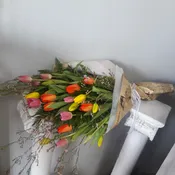 A Bounty Of tulips