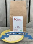 3 Lbs Organic Wheat Berries