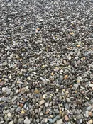 3/4" Delaware River Stone- sold per cubic yard — Timothy's Center for Gardening