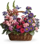 Aunt Judy`s Garden