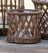 Medium Curved Willow Flower Vase