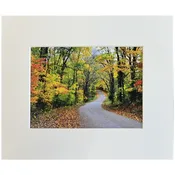 300 North in Autumn — Generation Art and Frame
