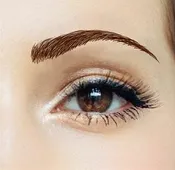 Beauty Eyebrows #3- Medium Brown