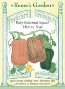 Baby Butternut Squash - Honey Nut