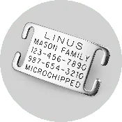 Custom Pet ID Tag
