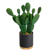 10-in Artificial Cactus Succulent Plant in Planter | Desert-Inspired Decor
