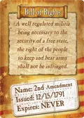 Bill of Rights Tin Sign