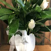 Heavenly Angel Planter