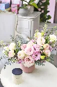 CALABASAS BLOOMING ISABELA