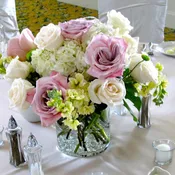 Spring Romance