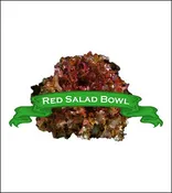 Lettuce Seed. Organic Red Salad Bowl. Heirloom. Pkt.