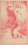 Victorian Trade Card - S.B. Hall Boots, Shoes, Trunks, Valises, Kent, Ohio - Girl picking fruit