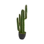 2.5 ft. Azure Spire Cactus