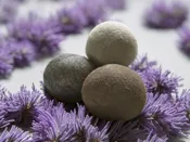 Alpaca Dryer Balls