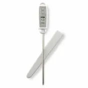 12" Digital Thermometer