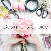 Designers Choice 4