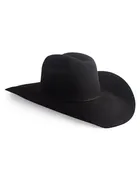 100X Beaver Cowboy Hat