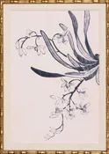 INK WASH ORCHID