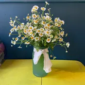 Dashing Daisies — FLEUR DE LIS FLORIST