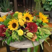 Harvest oblong arrangement
