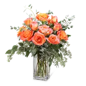 Free Spirit Roses (12)