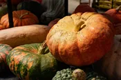 Heirloom Pumpkin Large