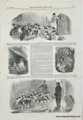 1849 - The Hunting Season - Economy of the Kennel - Genuine Antique Print