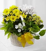 A Bit of Sunshine Basket