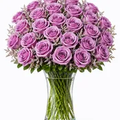 2  Dozen Lavender Roses