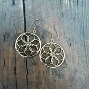 Brilliant Flower Earrings
