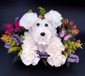 Blossoming Bud Pup!