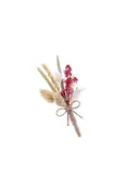 Beige & Red Tones Groom's Natural Lapel Flower