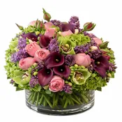 Lilac