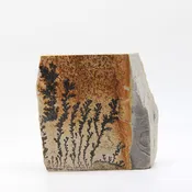 6" (6.75 lb.) Dendrite - Picture Stone